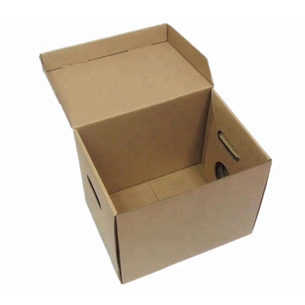 Business Records Storage Container/File Box - Hinged Lid